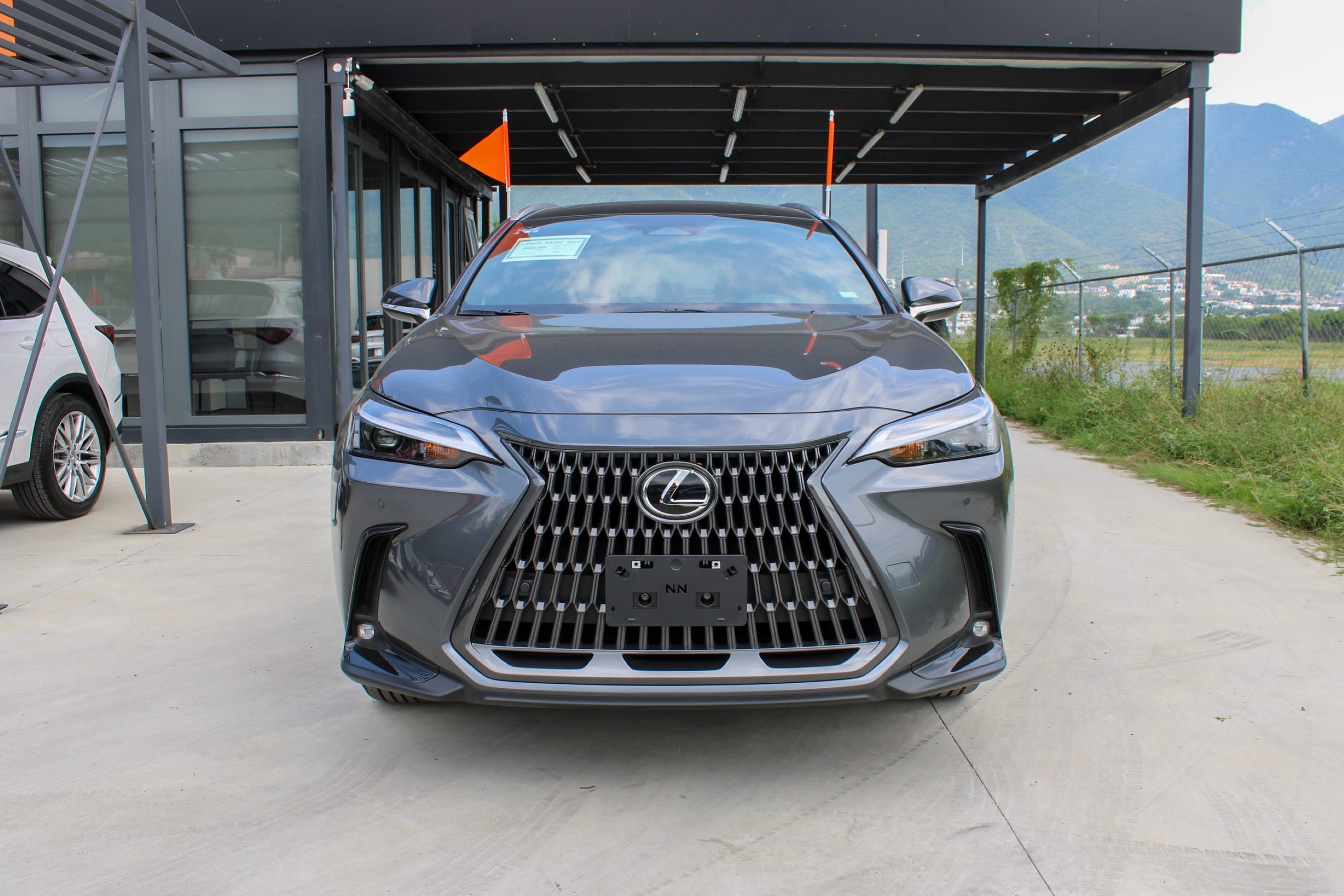 LEXUS NX250 GRIS-2.jpg